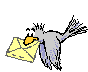 Oiseau_courrier