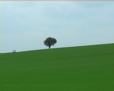 Petit train de campagne