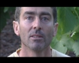 Un an dans les vignes