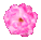 pinkflowersmall