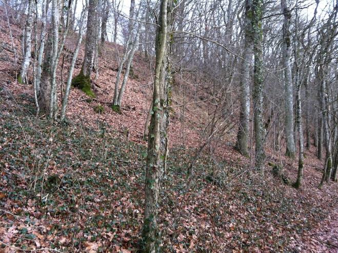 Vyrondecembre201107